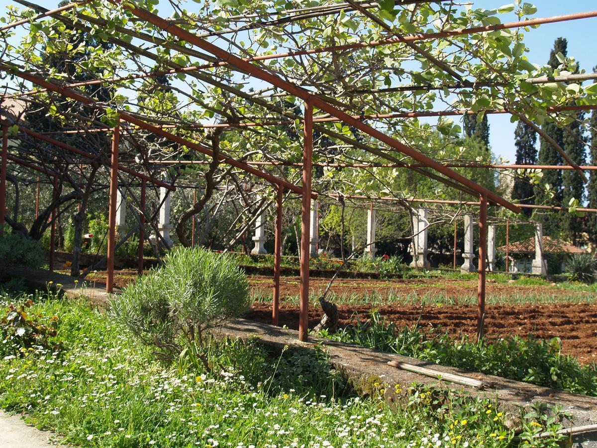 Villa Castrum โรวีน ภายนอก รูปภาพ
